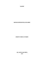 Mariana - Capa.pdf