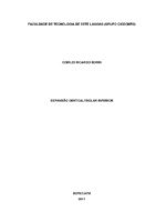 ODIRLEI RICARDO BORIN.pdf