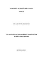 TCC - Ana Elisa de Mello Sassaron.pdf