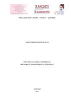 Monografia Hugo Mariano.pdf