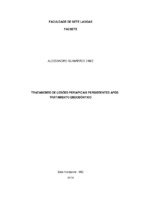 CapaAlessandro.pdf