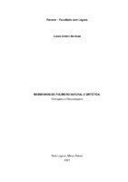 Revisão de Literatura - Copia3.pdf