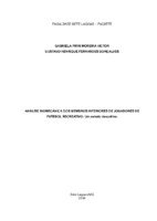 Gabriela Pirri Moreira Victor e Gustavo Henrique Fernandes Gonçalves.pdf