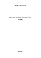 monografiaBrunoStênio.pdf