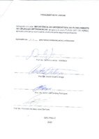 Folha de aprovação Flavia Osti.pdf