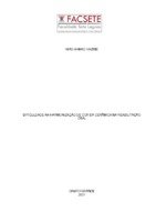 Imad A. Hazim_.pdf