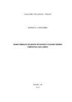 TCC - MARIANA DI LUCAS.pdf