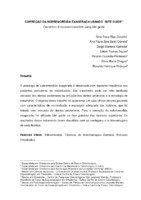 Esfera_Nina_artigo.pdf