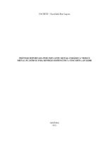 FERNANDA NAYARA BARBOSA REIS.pdf