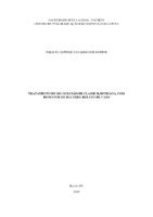Monografia - FACSET - ORTODONTIA  - Aluno  Nikácio Afnner  - Prof. Dr. Mauro Macedo.pdf