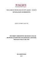 TCC Diana Carneiro.pdf