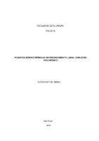 Flavia Osti de Abreu - Monografia.pdf