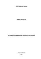 Mono Marcelo.pdf