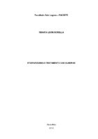 Renata_Borella_Monografia.pdf