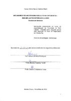 Folha de aprovação - TCC Hanna.pdf