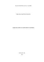 TCC Fabyana Martins.pdf
