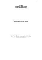 João Eduardo Marra -Monografia.pdf