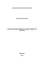 TCC Bruna.pdf