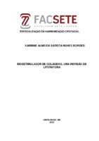Karinne TCC.pdf