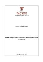 TCC FELIPE SILVA GENUINO.pdf
