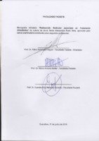 Folha_Aprovação_Maria_Alessandra_Rossi.pdf