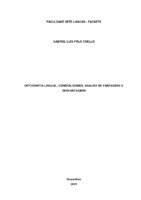 Gabriel_Luis_Polo_Cuello_Monografia.pdf