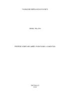 Monografia Israel Fillipin (corrigido 5 12 16).pdf