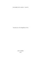 Ener Magalhães da Silva.pdf