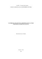 TCC RÔMULO corrigido.pdf