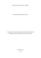 TCC-Danielle Paraguassu - FINAL.pdf