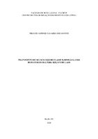 TCC  - Aluno  Nikácio Adnner.pdf