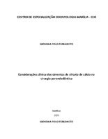 TCC  giovana polo.pdf