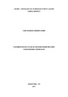 Monografia Luis Henrique - corrigida.pdf