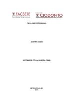 tcc adriana.pdf