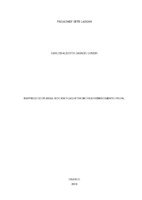 Monografia_Carlos final (2).pdf