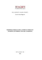 Caroline Nantes Nogueira.pdf