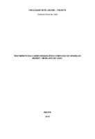 TCC finalizado gabi.pdf