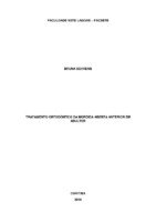 TCC Bruna Behrens.pdf