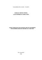 Dardânia Cristina Pereira e Lucas Henrique do Carmo Costa.pdf