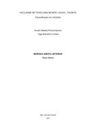 TCC - TIAGO KEROLIN.pdf