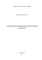 TCC Concluído 2.pdf