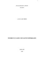 TCC CORRIGIDO Lucas Freire ORTO06 (002).pdf