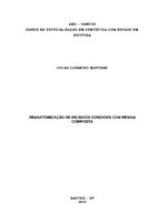 TCC Vivian Carneiro Bortone.pdf