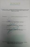 Mirian folha.jpg