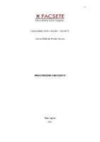 Larissa Maria de Arruda Campos .pdf