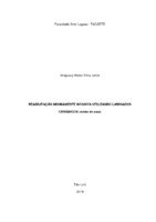 Prótese - Uruguacy Matos Silva Junior.pdf