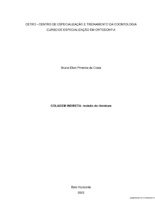 TCC - Bruna Ellen Pimenta da Costa.pdf