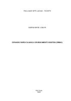 Sabrina ERMAC DEZEMBRO 2020 final.pdf