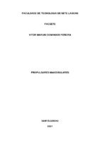 TCC - Vitor Muraki Domingos Pereira.pdf