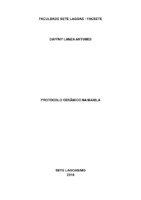 Protocolo superior cerâmico tcc DAFFNY corrigido a.pdf